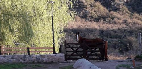 Agroturismo Base Manzano