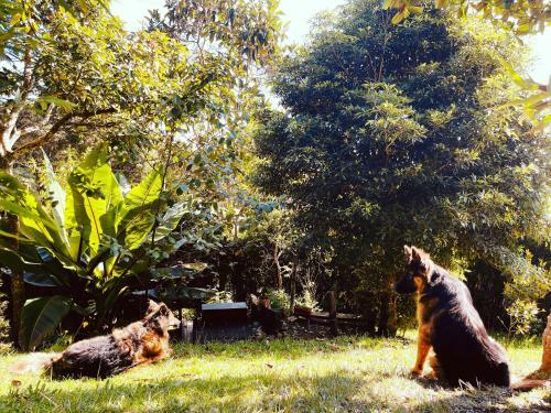 Bed & Breakfast Santa Casa -el Bosque