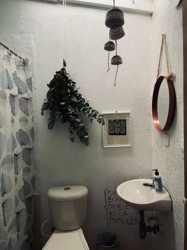 Bed & Breakfast Santa Casa -el Bosque