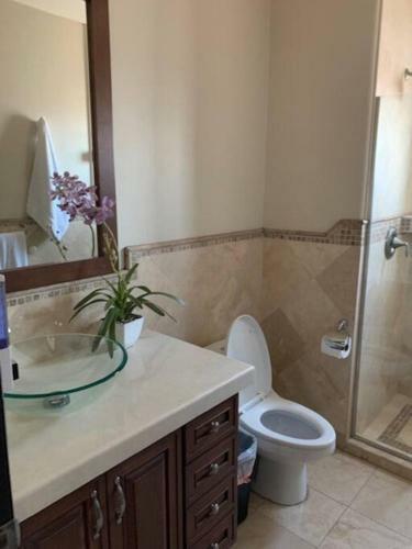 Apartamento Access - Beach Penthouse Papas And Beer 2 Miles Wifi