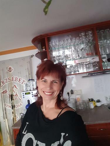Hostal Erzs�bet Vend�gh�z - Csesznek