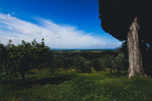 Agroturismo Agriturismo Poggio Bonelli