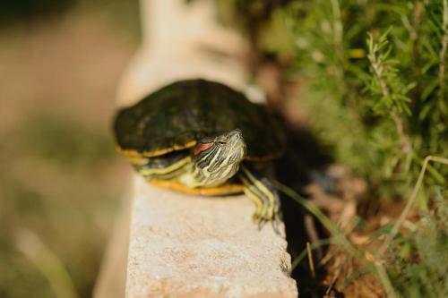 Agroturismo Agriturismo Spigolo