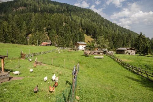 Hotel Albergo Al Fontanin