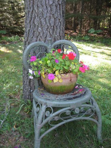 Country Cozy Bed And Breakfast