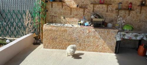 Apartamento Ecological Studio Flat In Kalyvia Thorikou Greece
