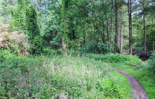 Huiske Oan T Bos