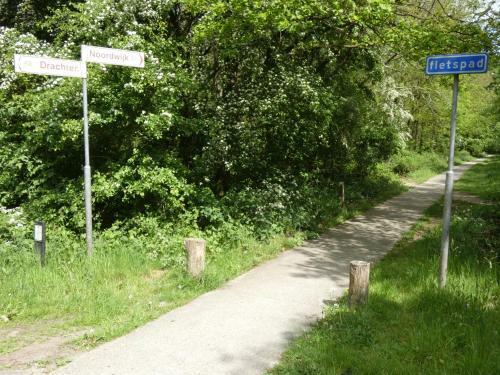 Boshuisje 11 Op Bospark Trimunt