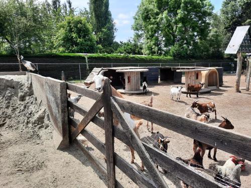 Chalet An Der K�ste 129