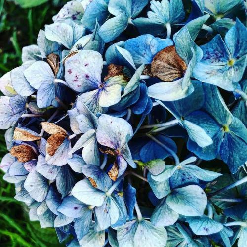 Hostal Casa Dalevada, Veade