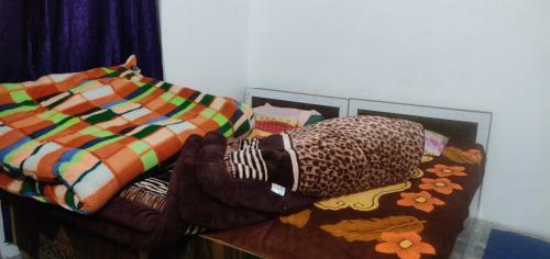 Rebecca Homestay & Camping