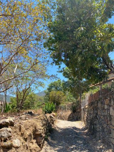 Apartamento Caba�a La Bufa San Sebasti�n Del Oeste