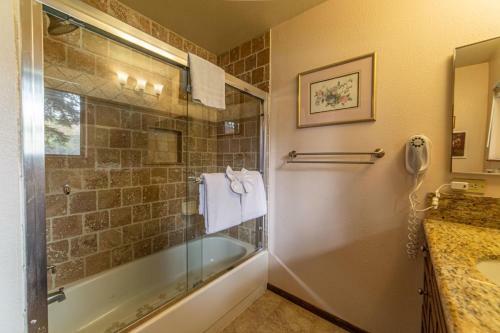 #480 - Pet-friendly, Family-friendly Mountain Condo
