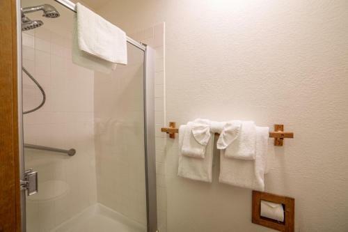 #473-pet Friendly Snowcreek Retreat