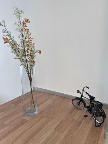 Apartamento Gatu Villa Esmeralda