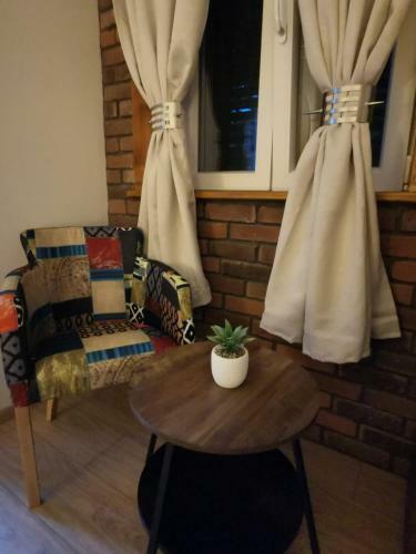 Bed & Breakfast Palomino House