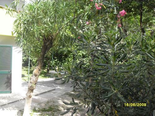 Apartamento Pagliaio Della Madonna