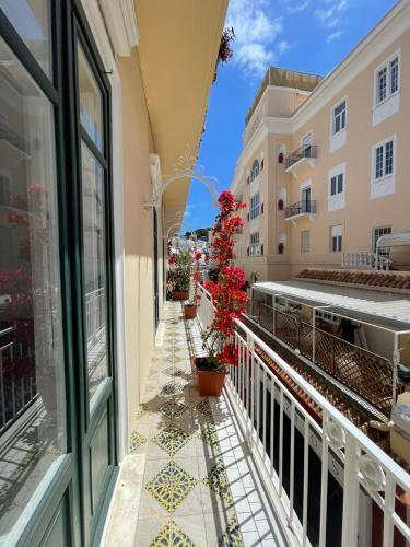 Apartamento Camerelle 7, Domus Letteraria