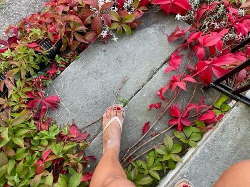 Stately Villa Rosenborg