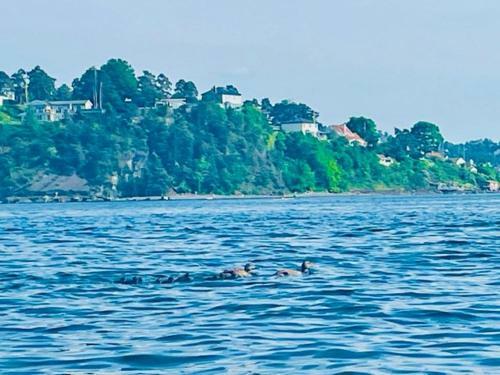 Stately Villa Rosenborg