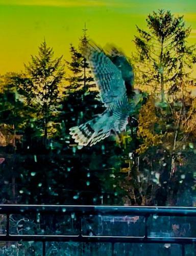 Stately Villa Rosenborg