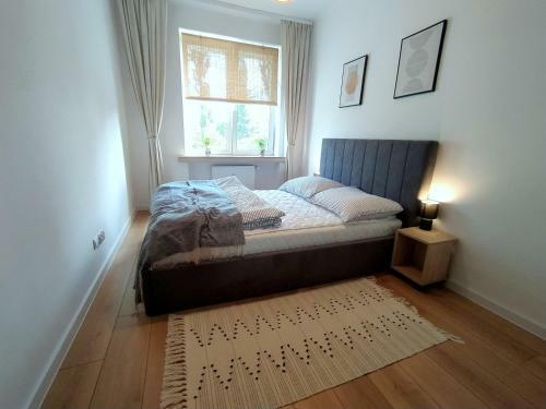 Apartament Przy Amfiteatrze
