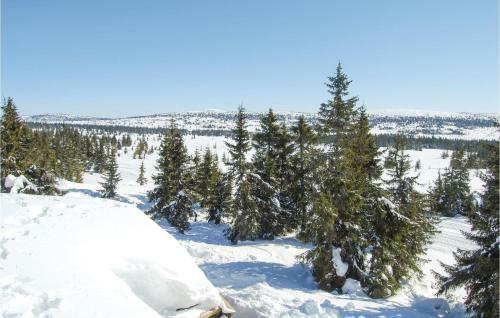 Four-bedroom Holiday Home In Sjusjoen