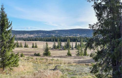 Four-bedroom Holiday Home In Sjusjoen