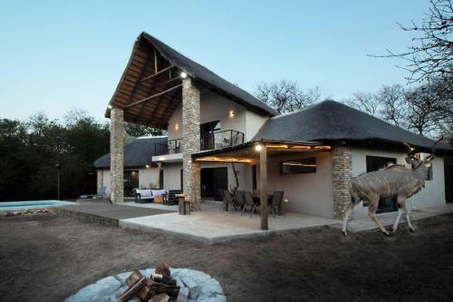Leadwood Marloth, Kruger Park