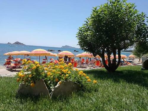 Bed & Breakfast Marina's Apartment Ogliastra