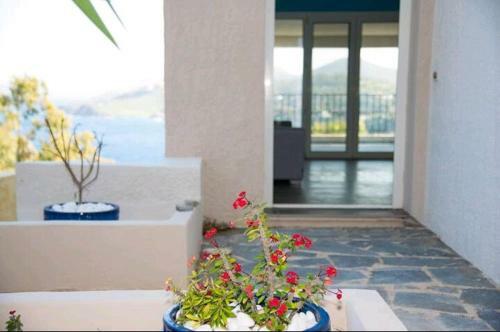 A House For 6 At Vromolithos Colorful