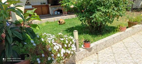 Liland Summer Cottage Lefkandi