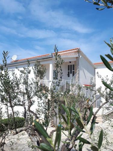 Apartamento Bellus
