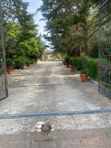 Apartamento L'incanto Del Trasimeno