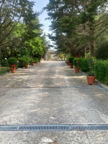 Apartamento L'incanto Del Trasimeno