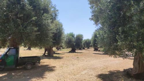 Bed & Breakfast Le Grotte Di Sileno