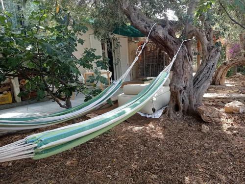 Hostal Casa Fratim� La Stanza Dell'o-zio