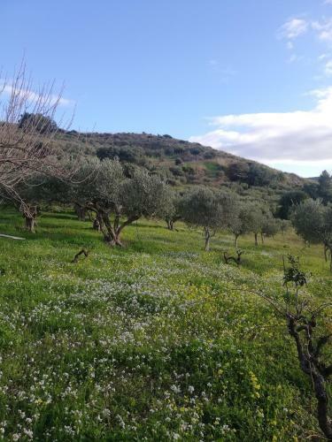 Rustico In Campagna A Due Passi Dal Mare - Scopello