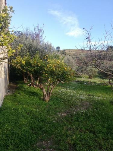 Rustico In Campagna A Due Passi Dal Mare - Scopello