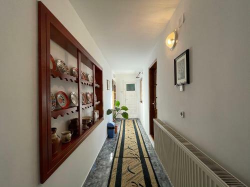 Hostal Pensiunea Nechita