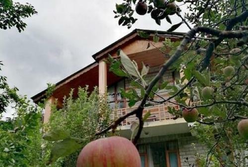 Bed & Breakfast Bliss And Blossom Cottage