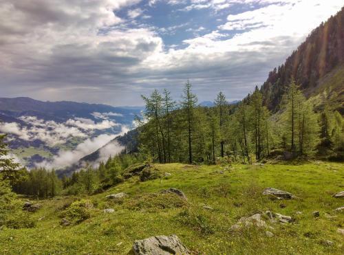 Direkt Am Waldrand, Ruhig Gelegenes Doppelzimmer 2