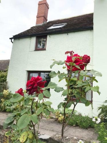 Seifton View Cottage, Culmington, Ludlow