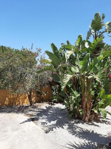 La Capilla (casa Destinada Solo A Familias)