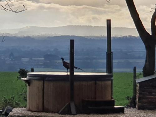 Sanford Escapes - Shepherds Hut & Hot Tub
