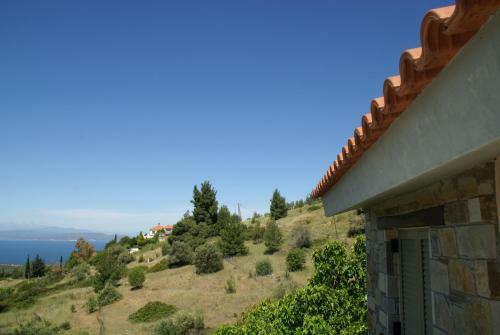 Bella Vista Di Nerotrivia