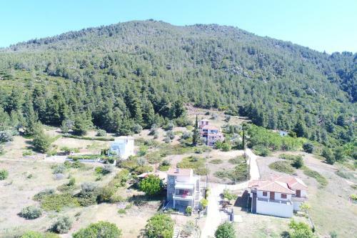 Bella Vista Di Nerotrivia