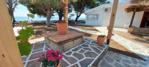 Hostal Seaside Kastamoniti Nikiti "pine&sea"