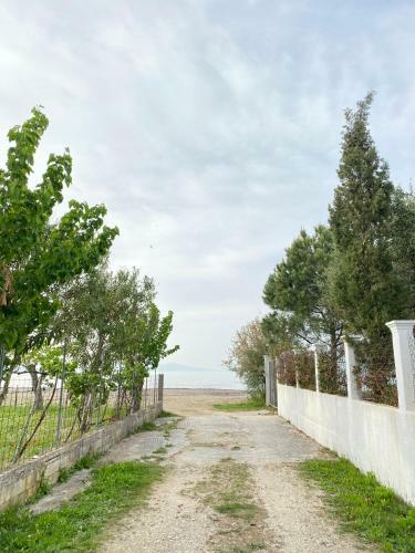Apartamento Endless Green: Feel Free And Cozy In Nature