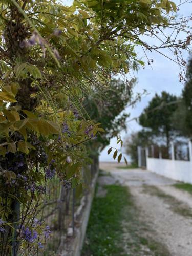 Apartamento Endless Green: Feel Free And Cozy In Nature